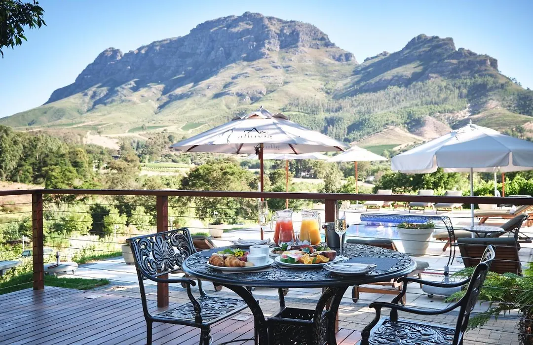 Alluvia Boutique Winery & Luxury Accommodation-1