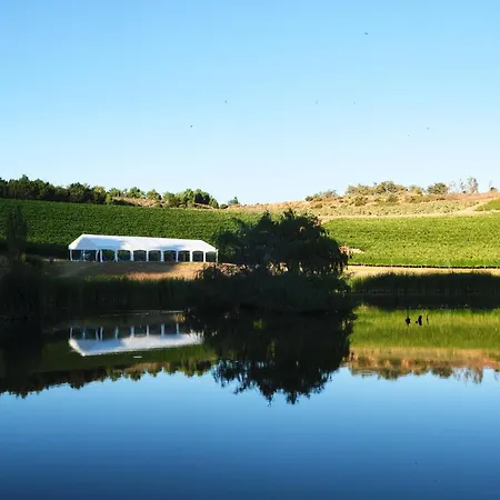 Alluvia Boutique Winery & Luxury Accommodation-3