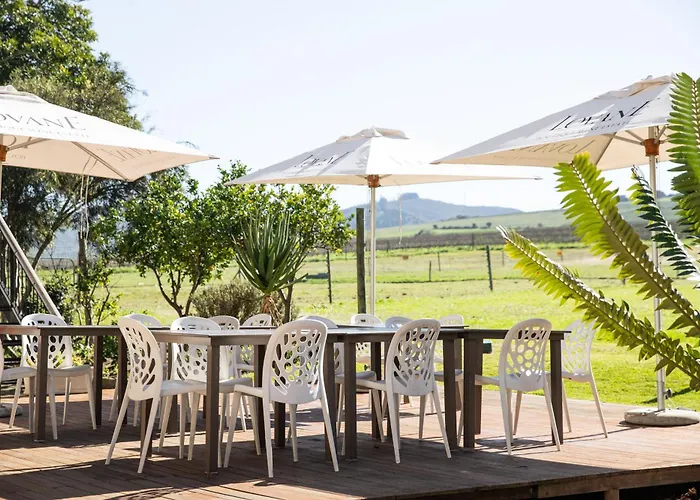 Lovane Boutique Wine Estate And GuesthouseBoutique Hotel